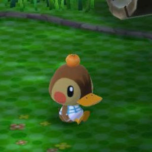 Meet your Posher, Jaila